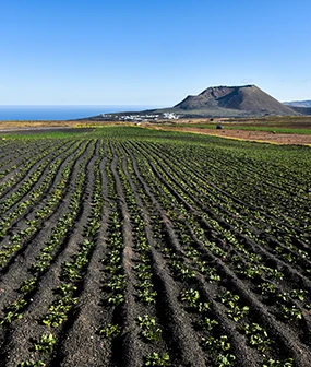 Economie et agriculture